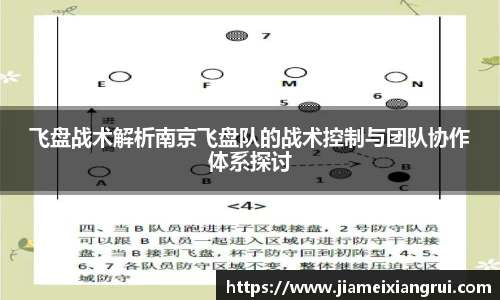 飞盘战术解析南京飞盘队的战术控制与团队协作体系探讨